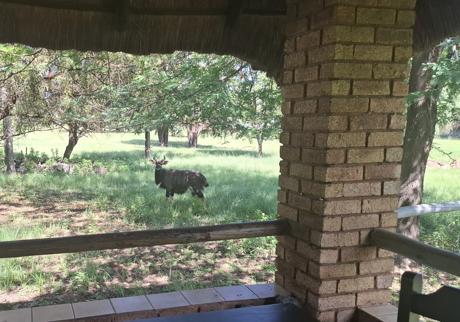 bath room